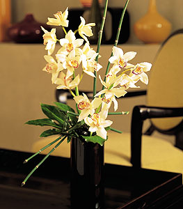  Bolu iekiler  cam yada mika vazo ierisinde dal orkide