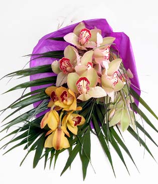  Bolu cicekciler , cicek siparisi  1 adet dal orkide buket halinde sunulmakta
