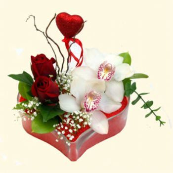  Bolu hediye sevgilime hediye iek  1 kandil orkide 5 adet kirmizi gl mika kalp