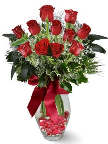 9 adet gül  Bolu internetten çiçek satışı  kirmizi gül