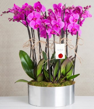 11 dall mor orkide metal vazoda  Bolu iek gnderme sitemiz gvenlidir 