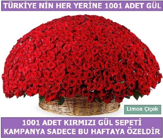1001 Adet kırmızı gül Bu haftaya özel  Bolu İnternetten çiçek siparişi 