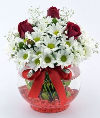 Fanusta 3 Gül ve Papatya  Bolu internetten çiçek satışı 