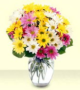  Bolu internetten çiçek siparişi  mevsim çiçekleri mika yada cam vazo