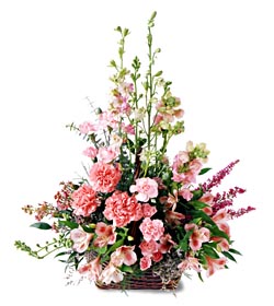 Bolu ucuz çiçek gönder  mevsim çiçeklerinden özel
