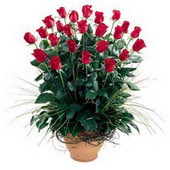  Bolu uluslararası çiçek gönderme  10 adet kirmizi gül cam yada mika vazo