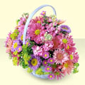  Bolu yurtiçi ve yurtdışı çiçek siparişi  bir sepet dolusu kir çiçegi  Bolu çiçek gönderme sitemiz güvenlidir 