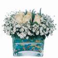 mika ve beyaz gül renkli taslar   Bolu çiçek satışı 
