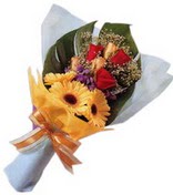 güller ve gerbera çiçekleri   Bolu çiçek gönderme sitemiz güvenlidir 