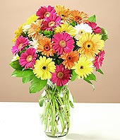  Bolu çiçek online çiçek siparişi  17 adet karisik gerbera