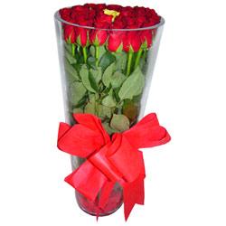  Bolu çiçek online çiçek siparişi  12 adet kirmizi gül cam yada mika vazo tanzim