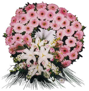 Cenaze çelengi cenaze çiçekleri  Bolu çiçek siparişi vermek 