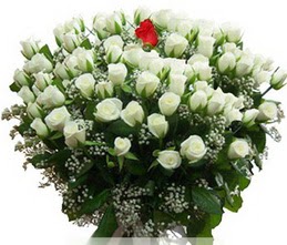  Bolu internetten çiçek satışı  100 adet beyaz 1 adet kirmizi gül buketi