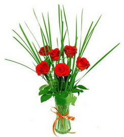  Bolu çiçek , çiçekçi , çiçekçilik  6 adet kırmızı güllerden vazo çiçeği