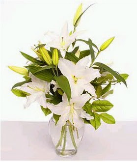  Bolu çiçek gönderme  2 dal cazablanca vazo çiçeği