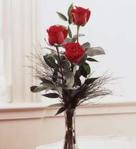  Bolu internetten çiçek satışı  Vazoda 3 adet güzel gül