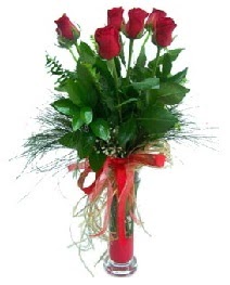 vazo içerisinde 5 kırmızı gül  Bolu güvenli kaliteli hızlı çiçek 