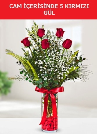 Cam içerisinde 5 adet kırmızı gül  Bolu çiçek siparişi sitesi 